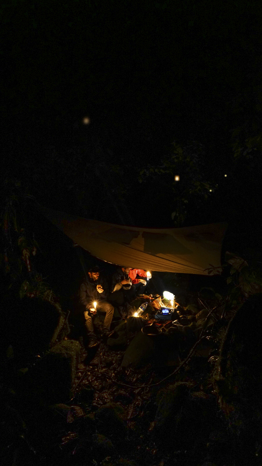 Campamento y luces de bosque