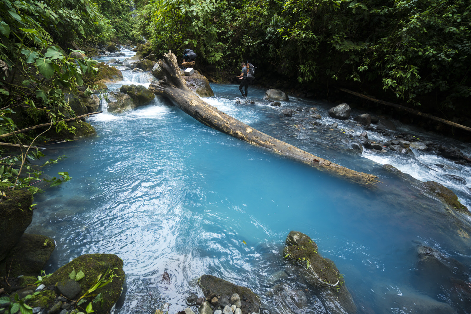 Árbol caido sobre río Azul 