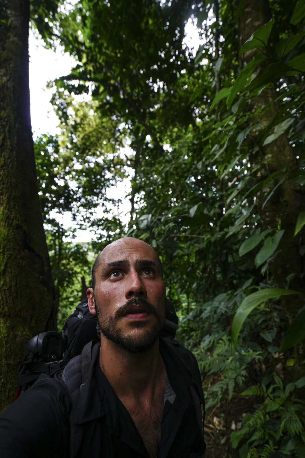 Montaña adentro