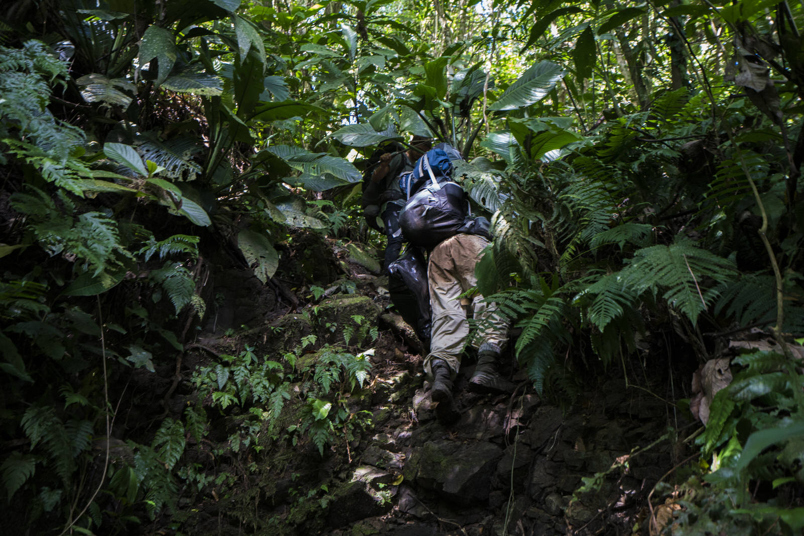 Haciendo Camino