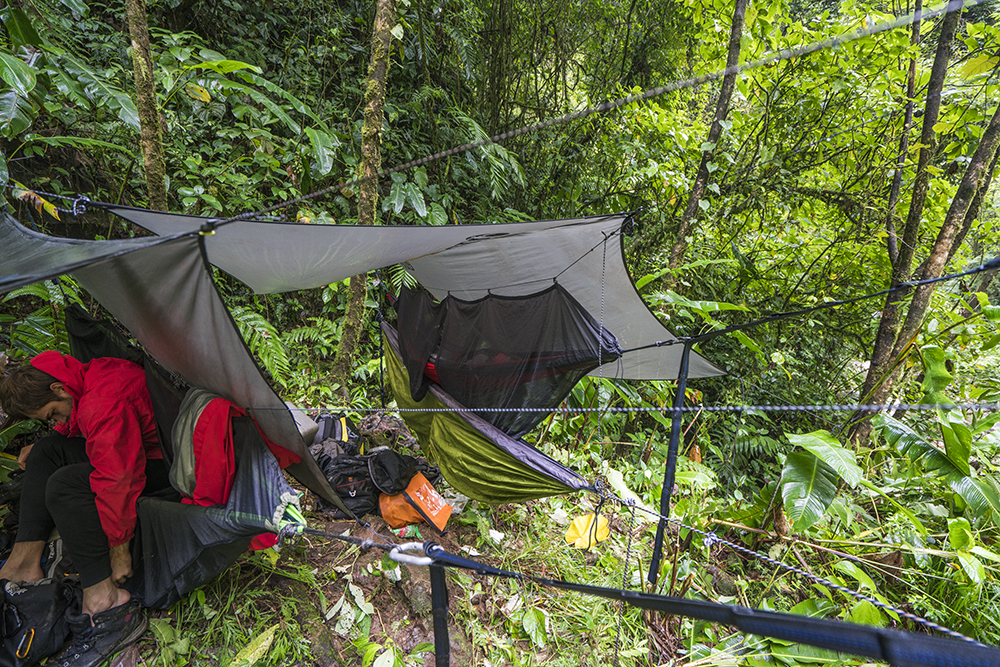 Campamento 2