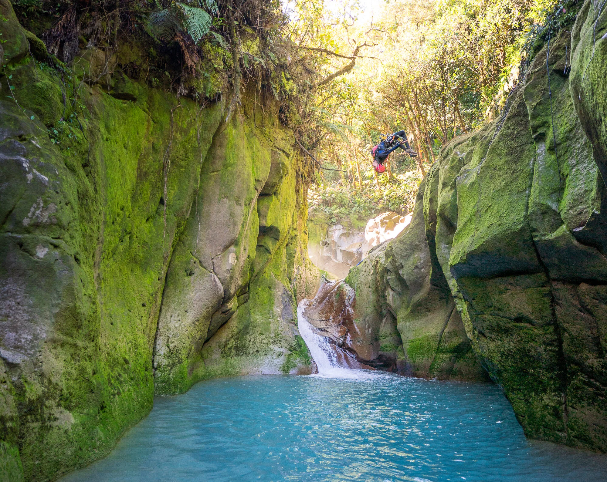 David con un clásico Back-Flip