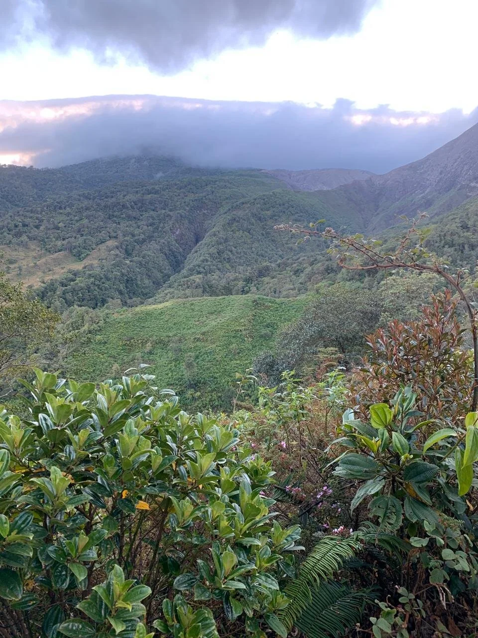 WhatsApp Image 2020-01-17 at 8.28.59 PM.jpeg