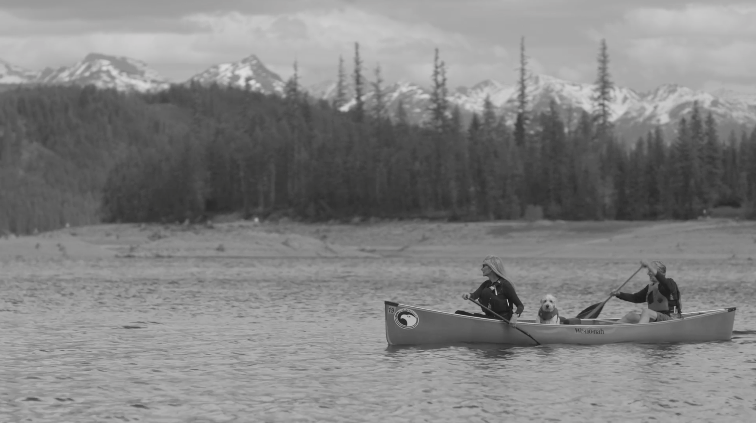 Screenshot 2026-02-03 at 12.43.46 PM.png