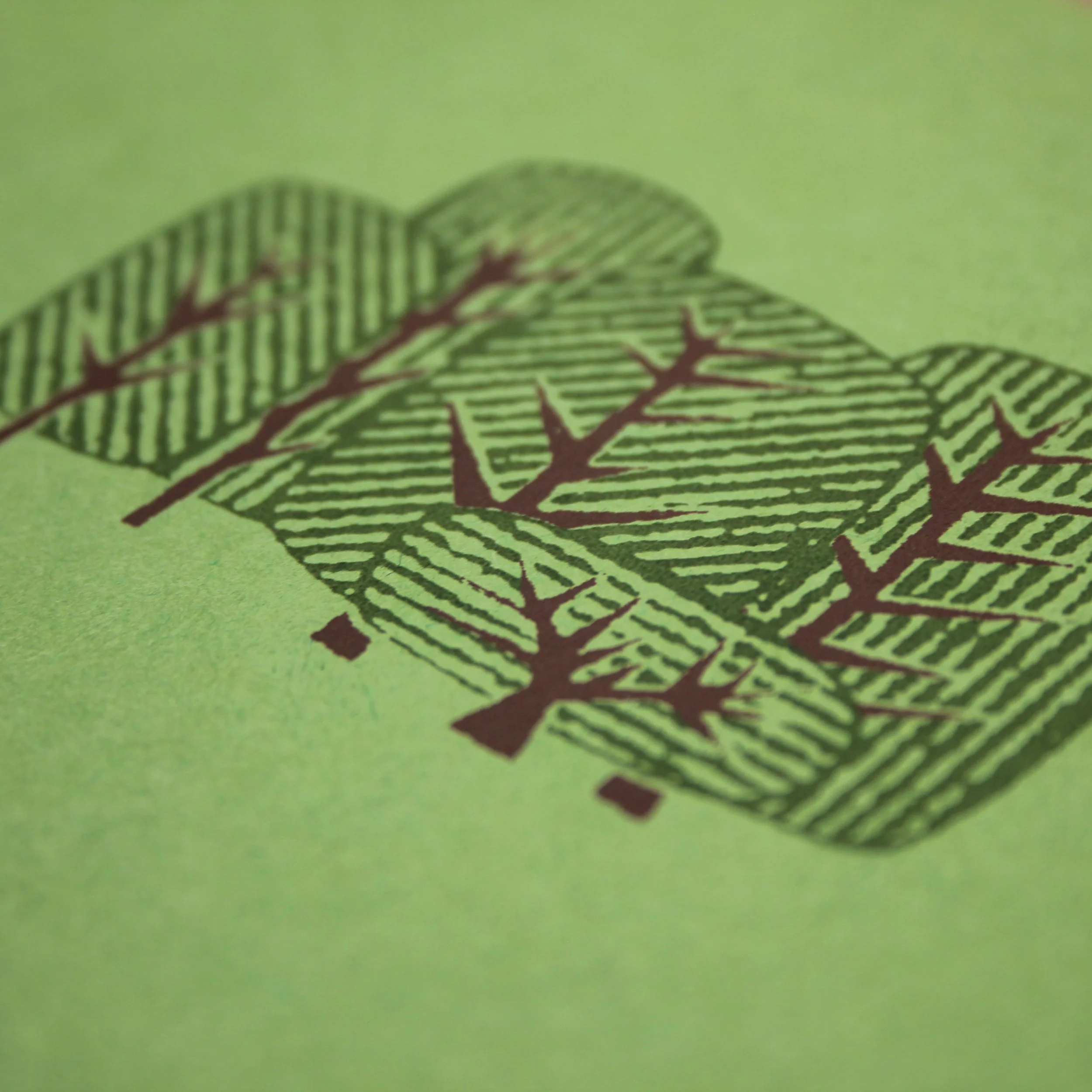 FiveTrees_2023_Detail_v1.jpg