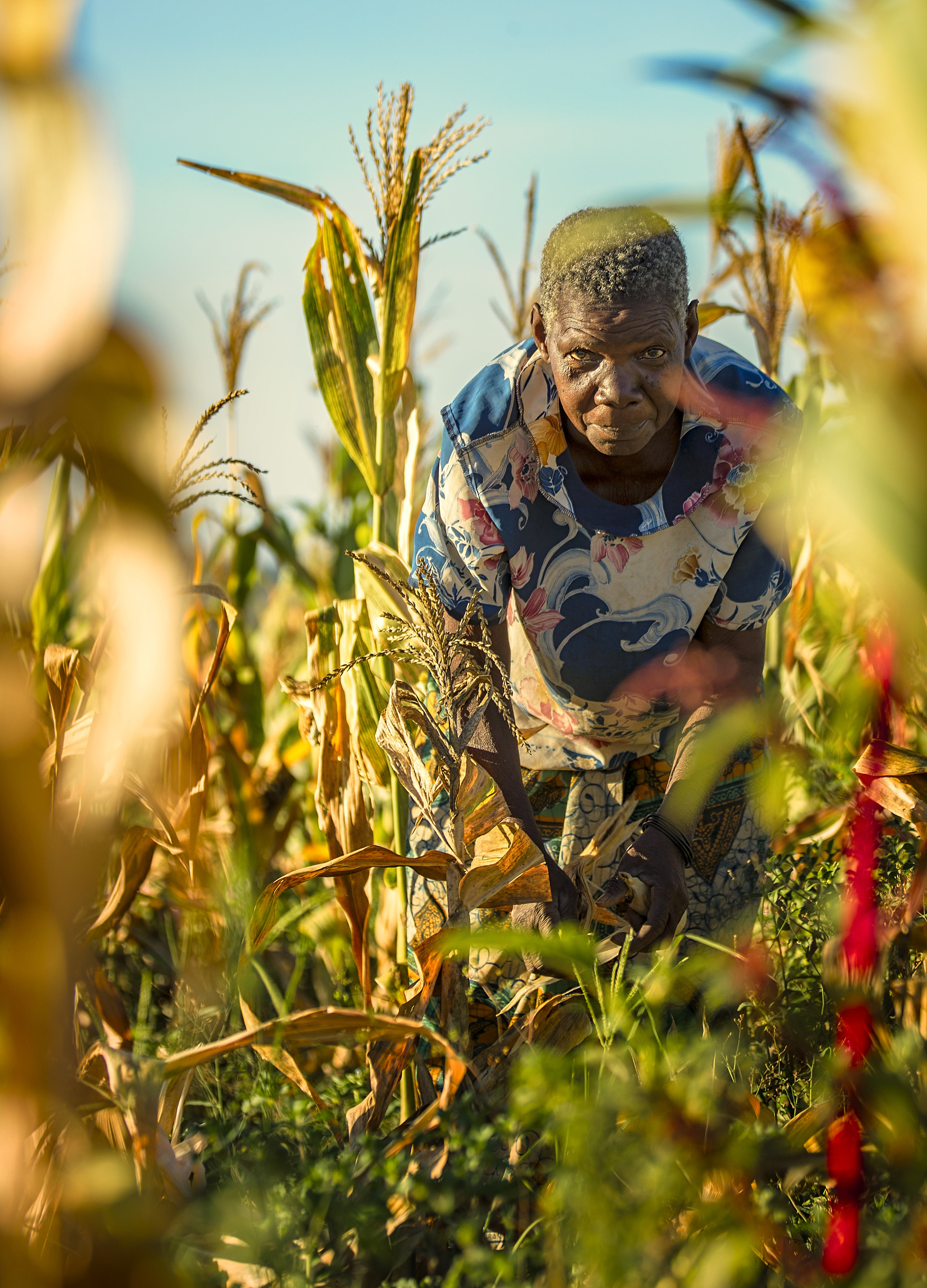 Simon+Needham+Photography+Tanzania+14.jpg