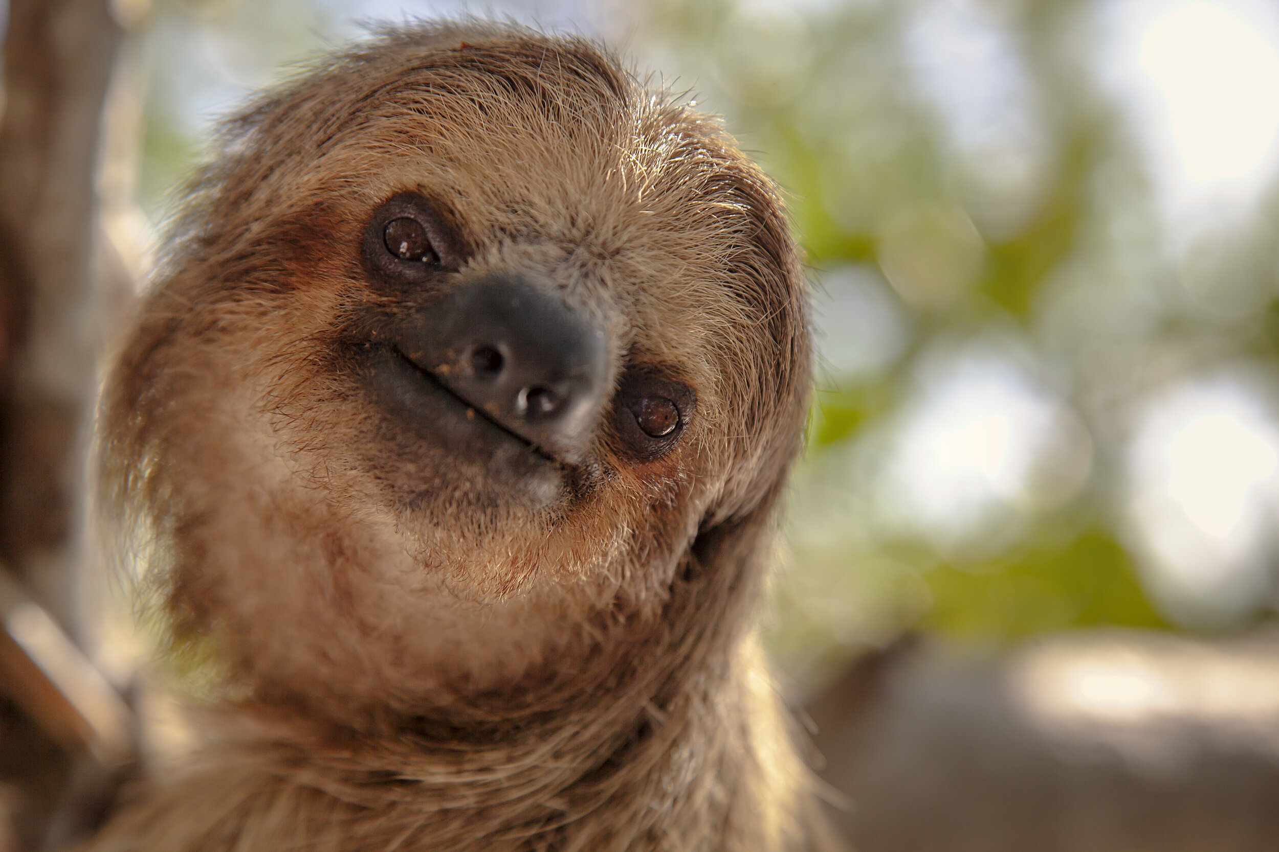 Endangered Species Photographer — Simon Needham
