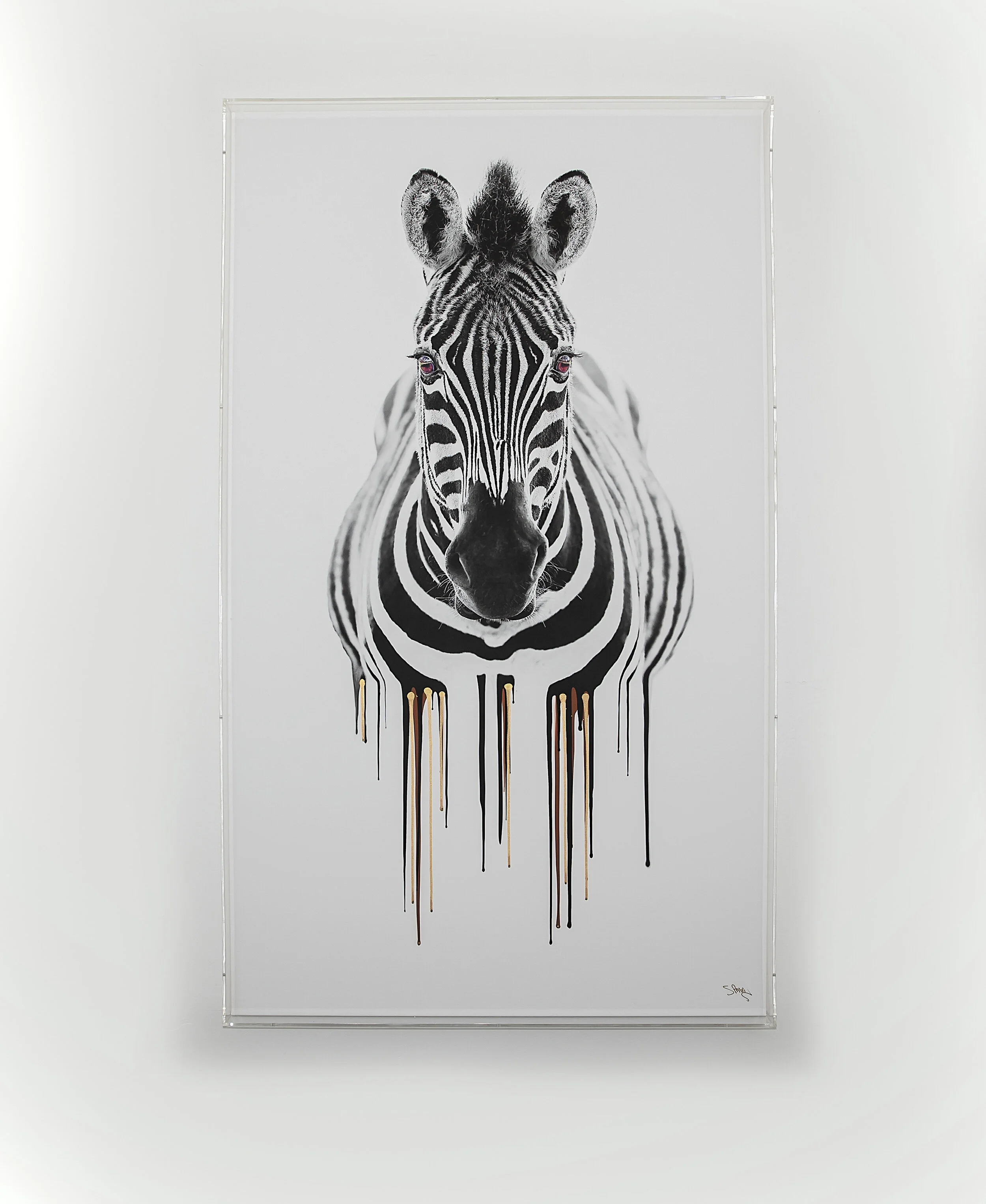 RUNNING ZEBRA