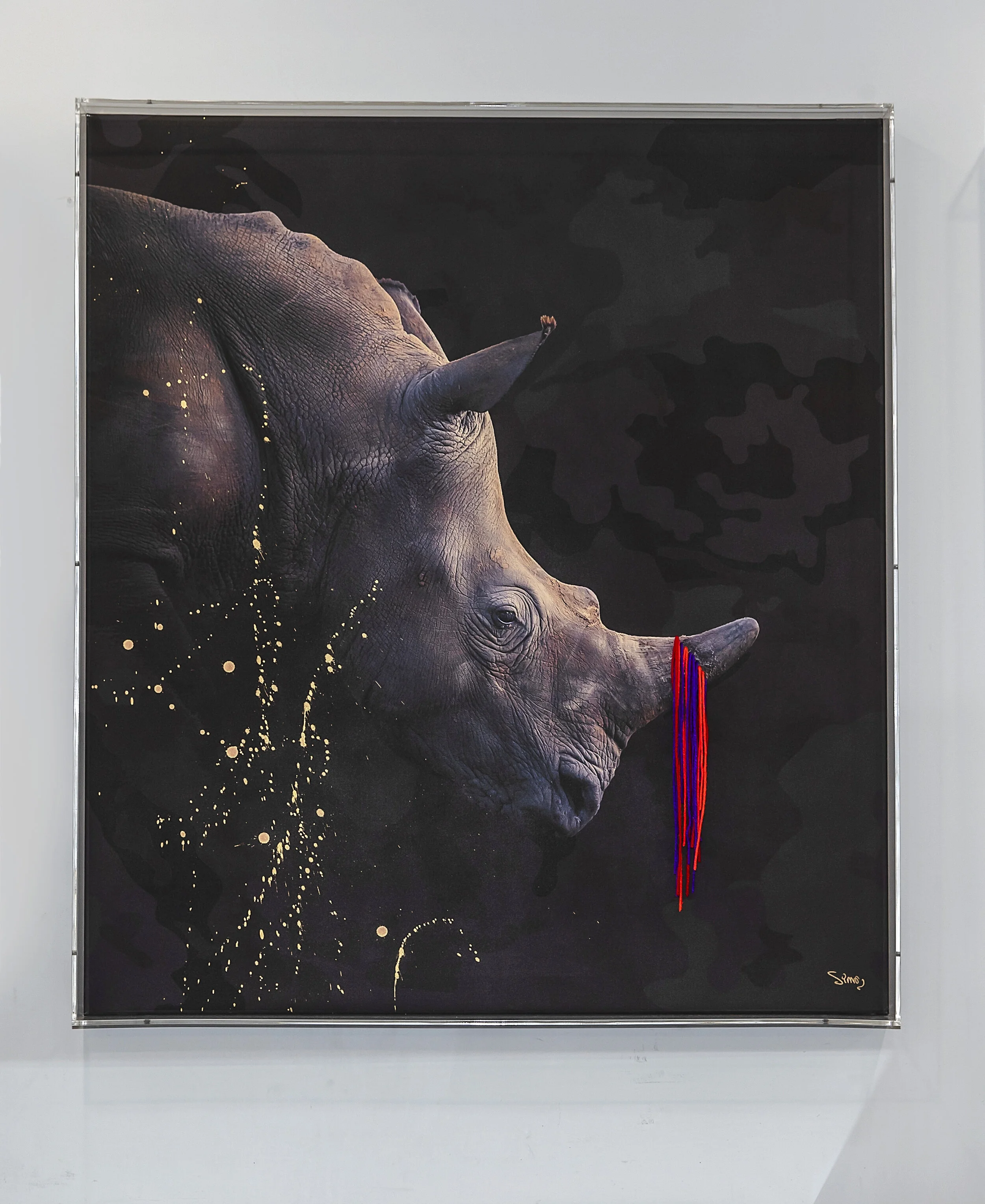 CELEBRATING THE RHINO