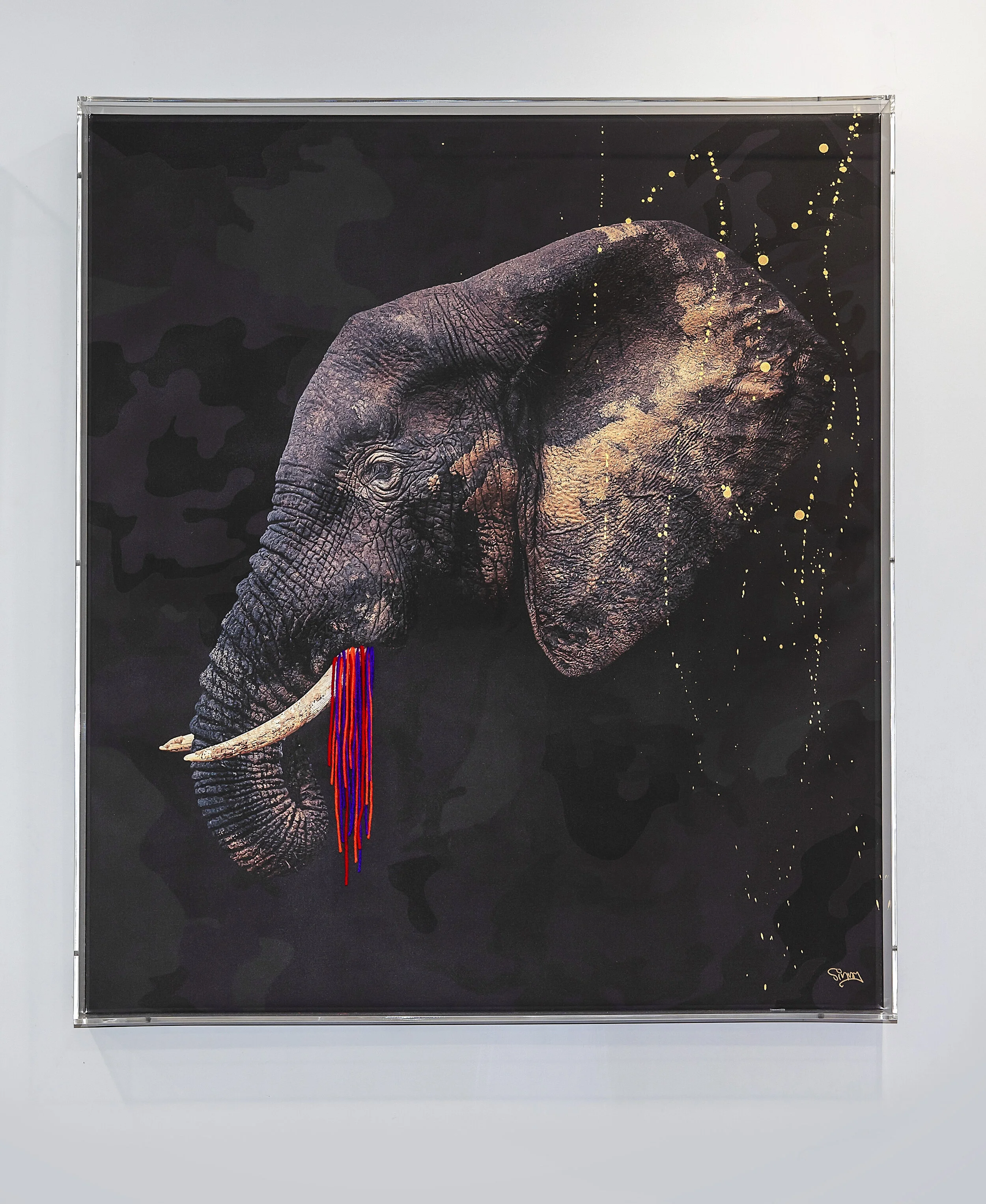 CELEBRATING THE ELEPHANT