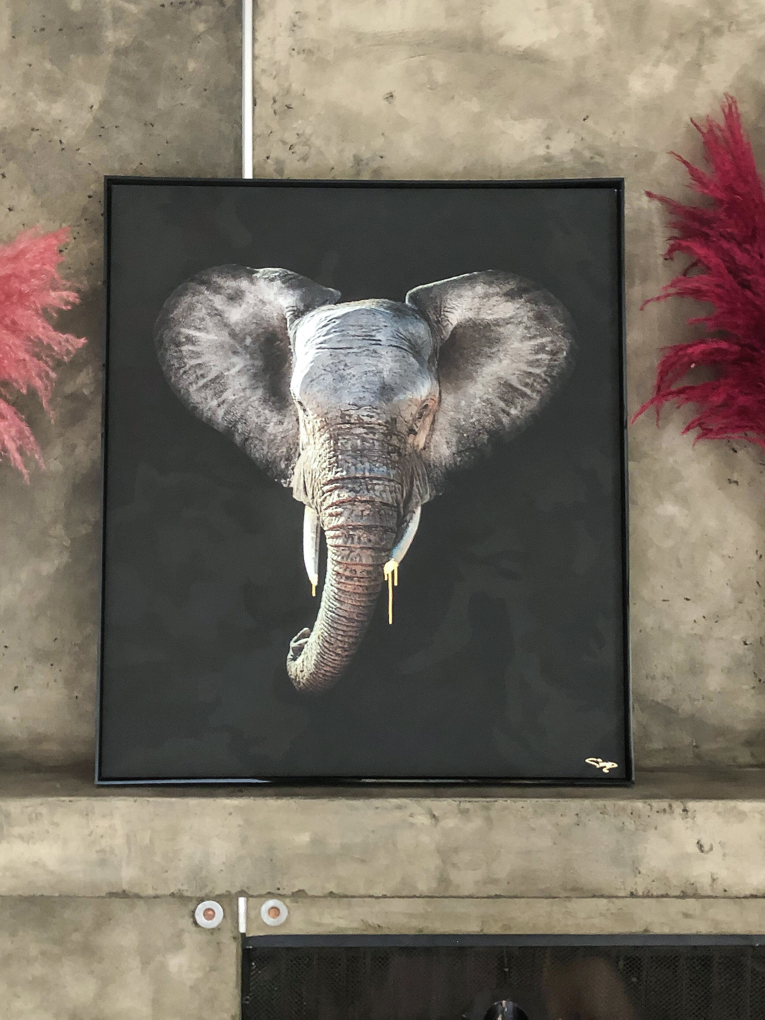 Elephant Portrait