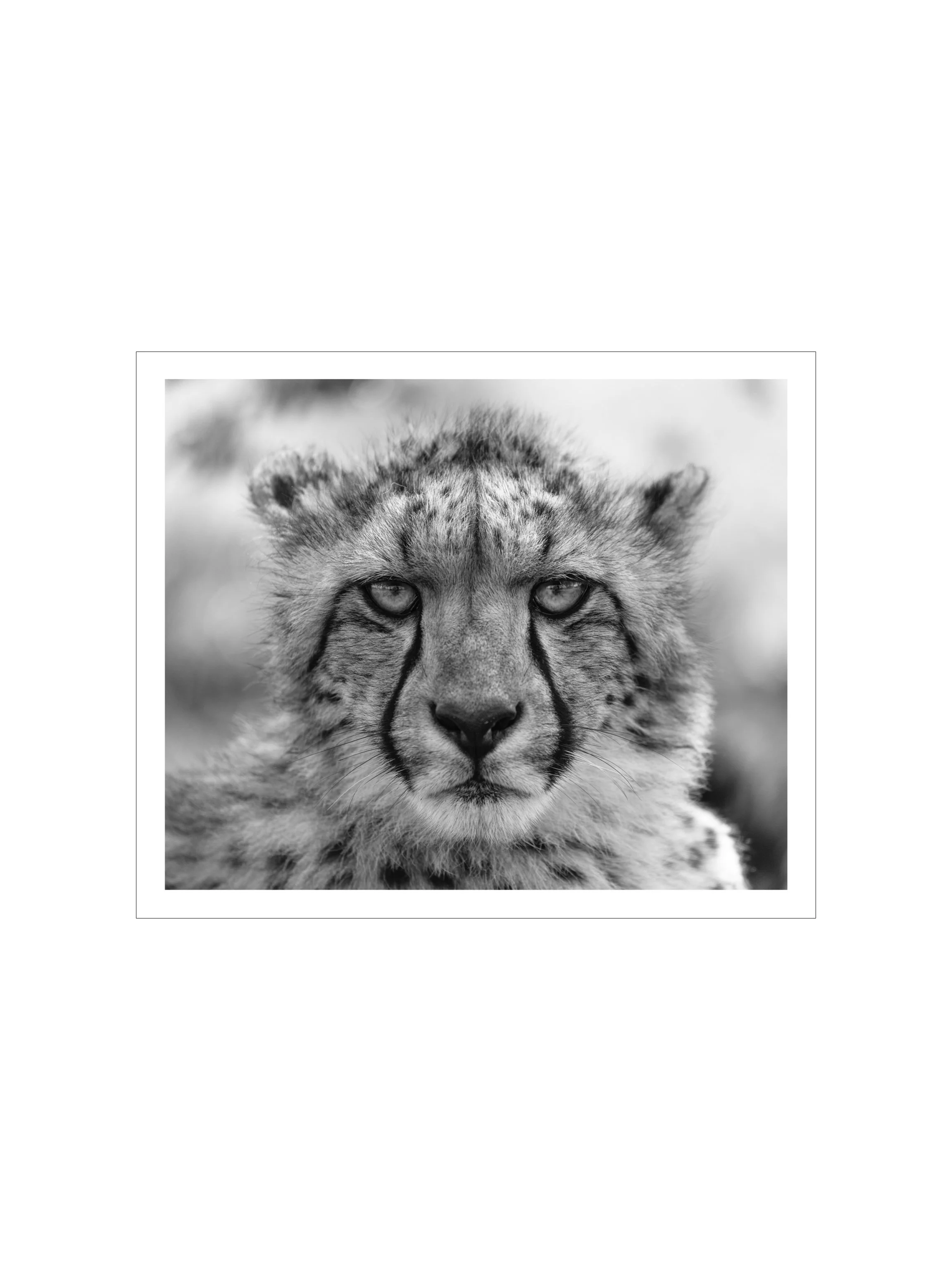 New Thumbnails.001.jpeg