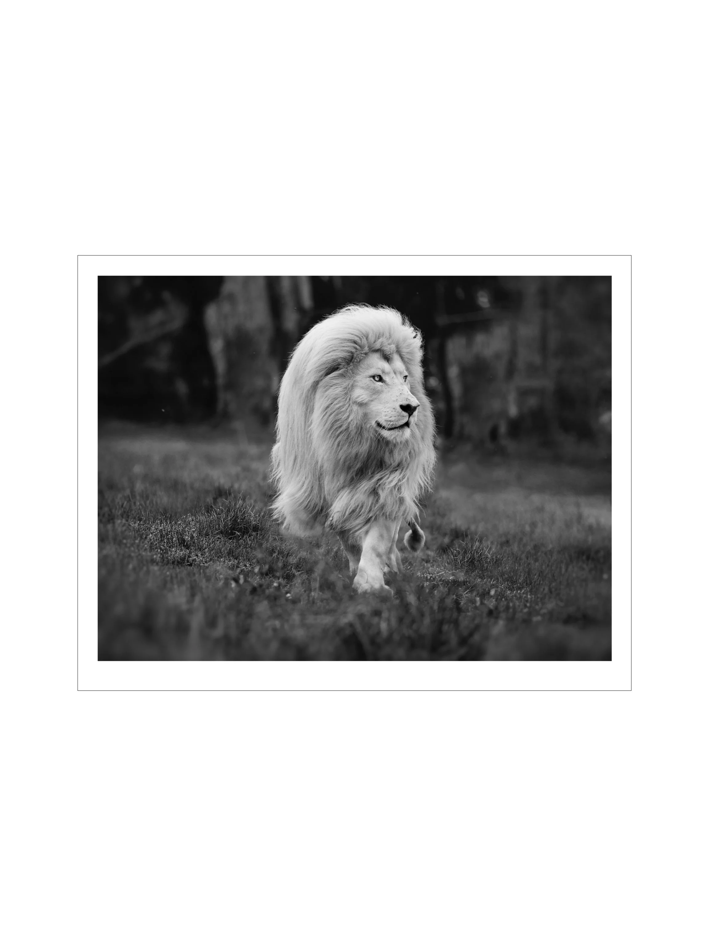 4x3 simon prints copy.003.jpeg