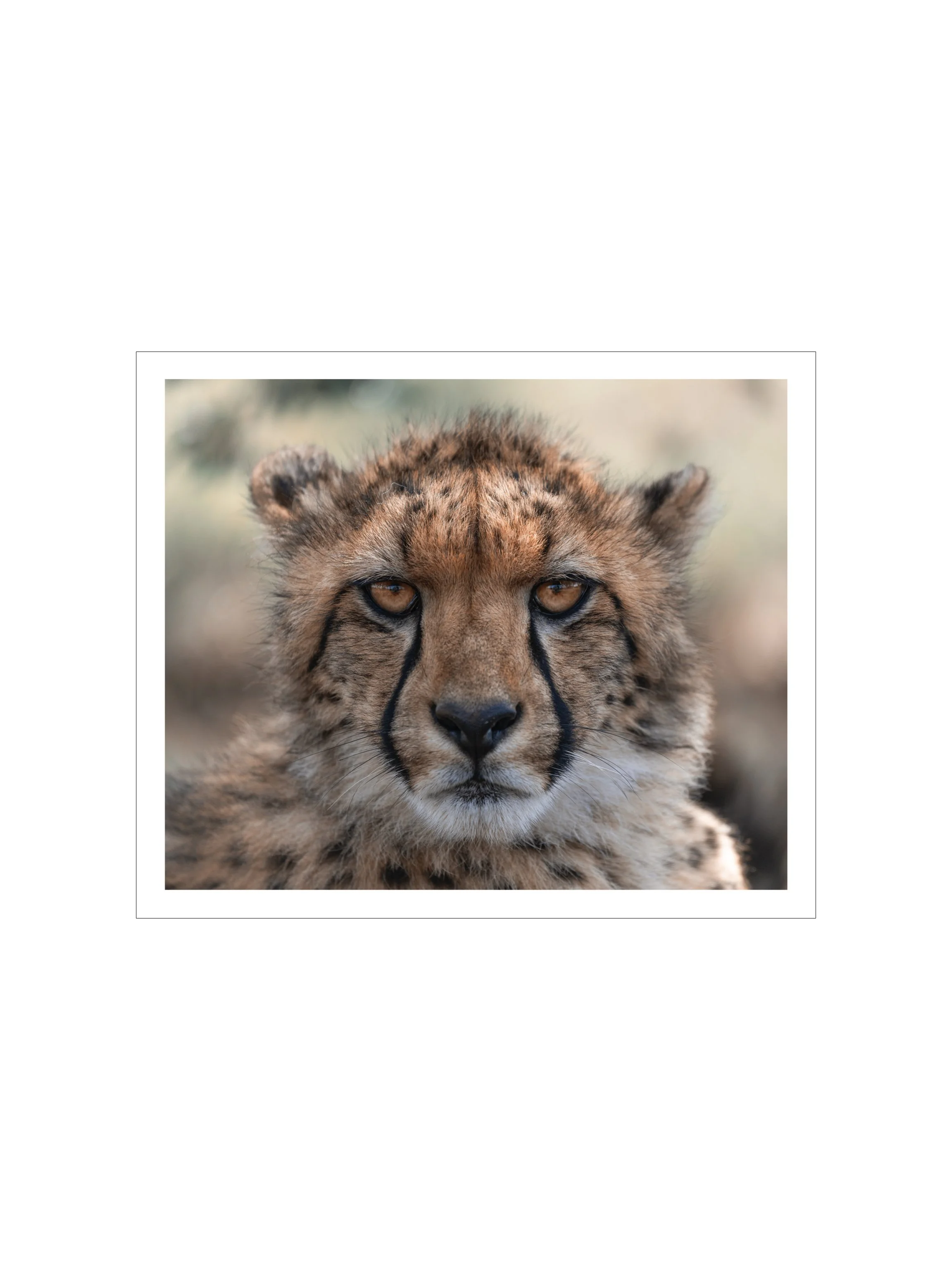 New Thumbnails.002.jpeg