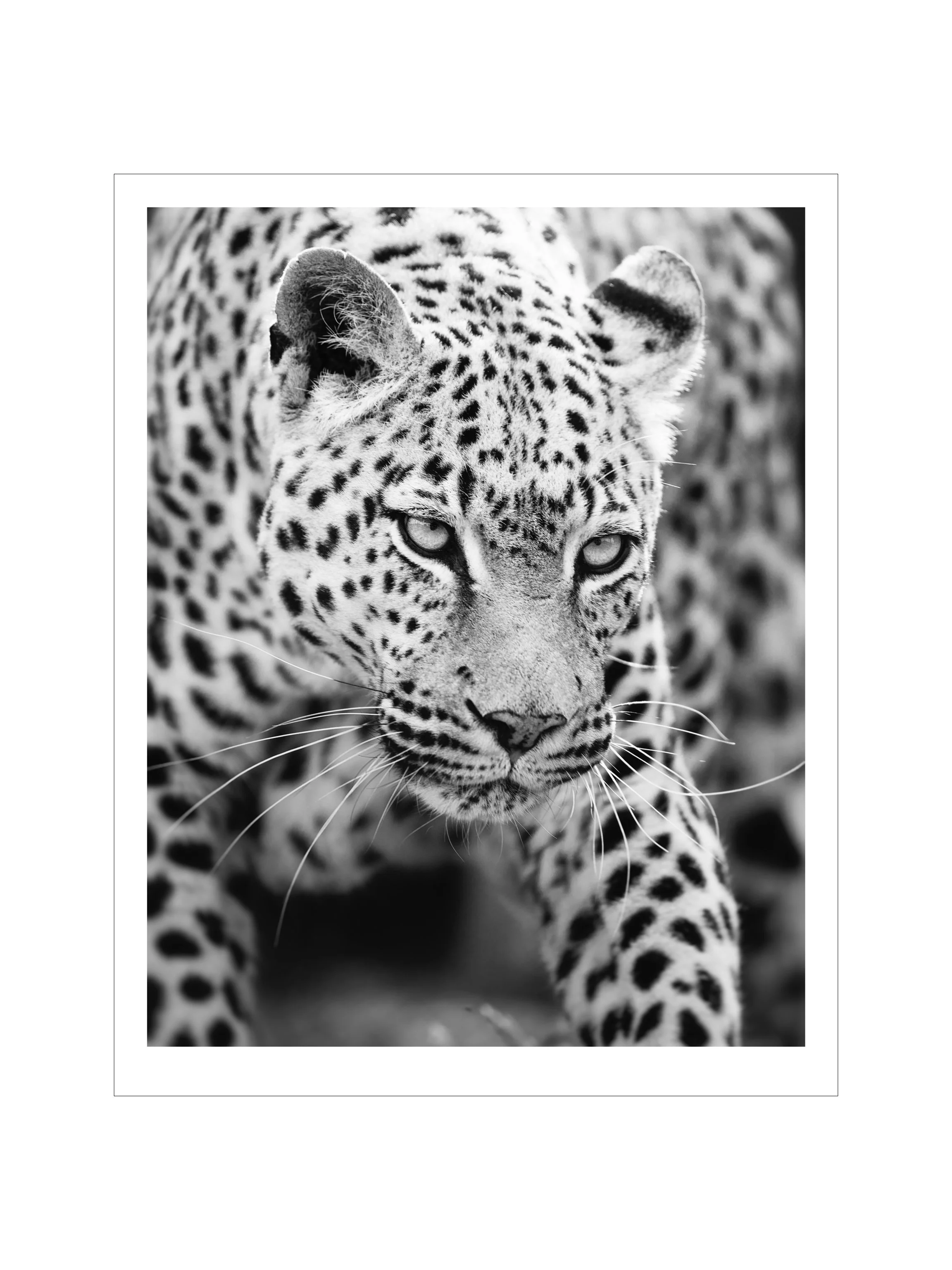 New Thumbnails.003.jpeg