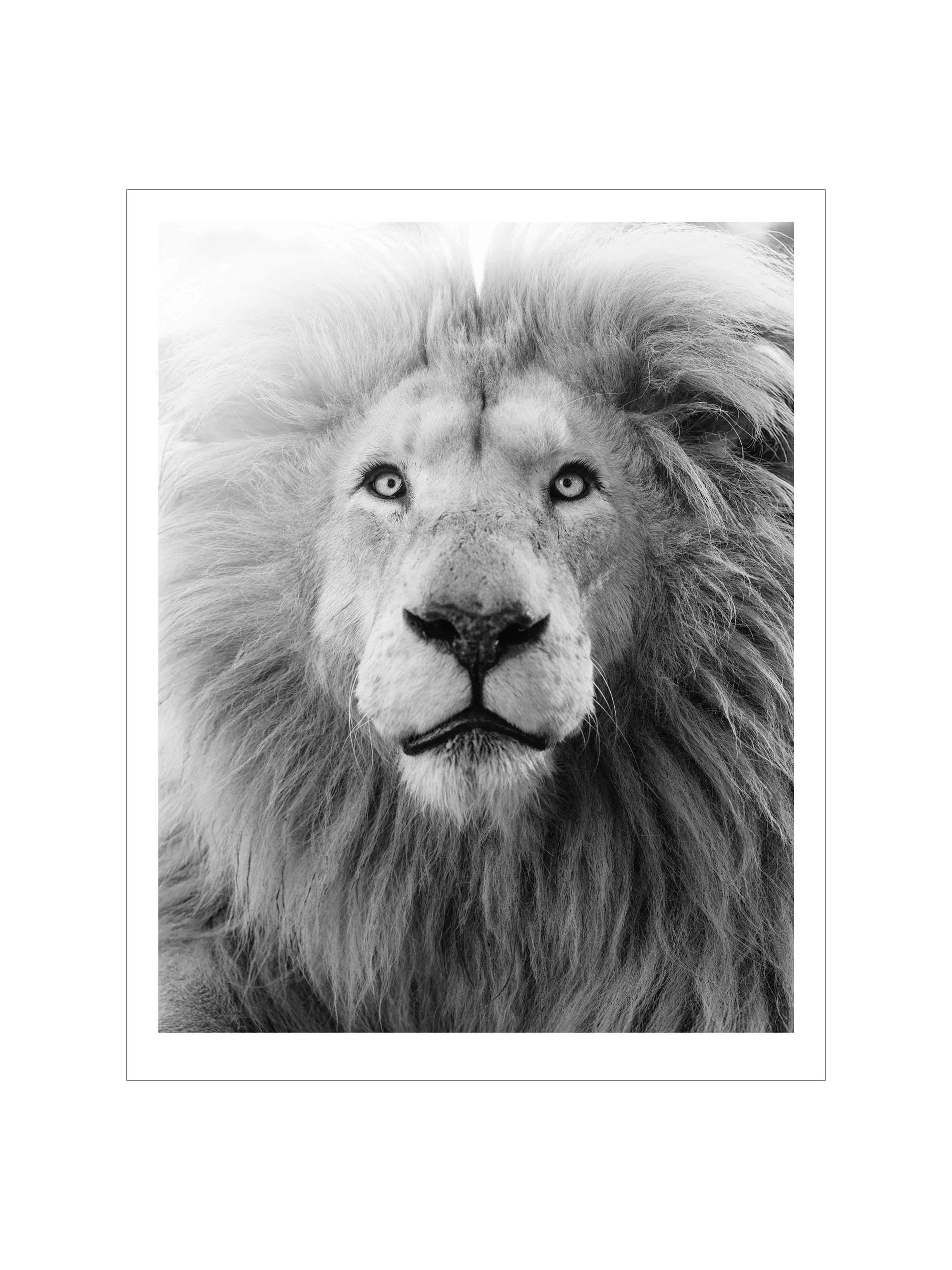 4x3 simon prints copy.006.jpeg