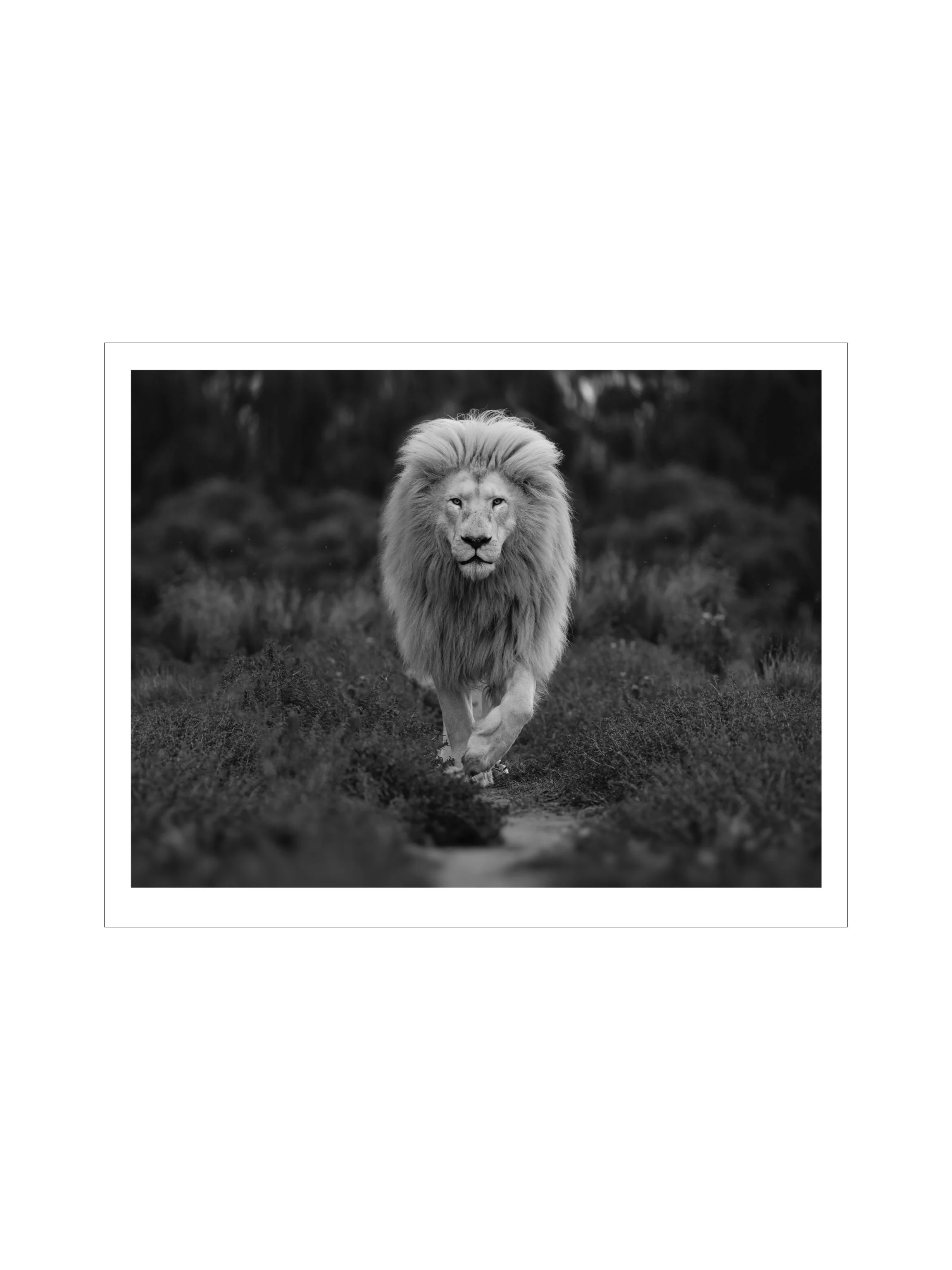 4x3 simon prints copy.004.jpeg