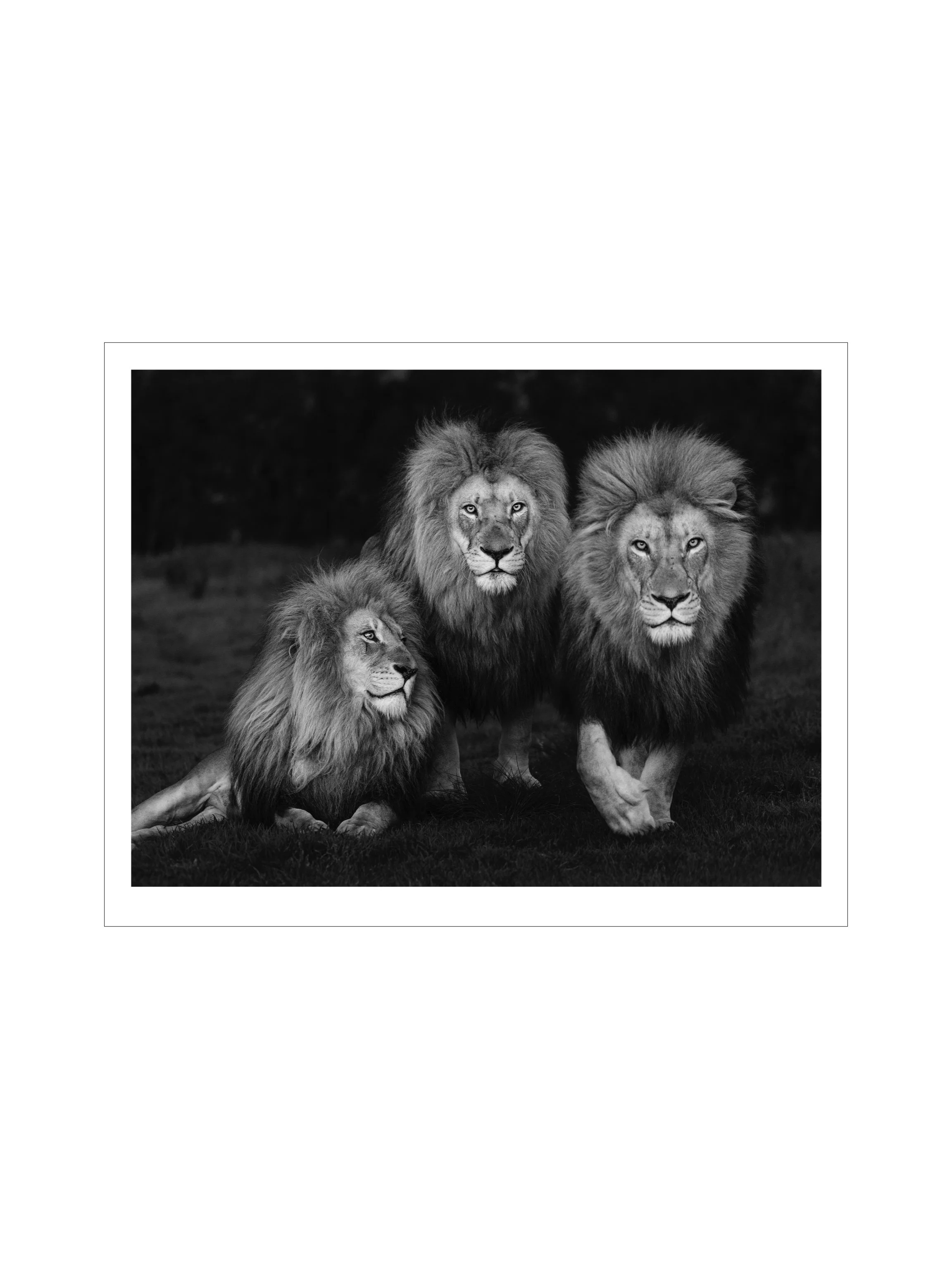 4x3 simon prints copy.005.jpeg