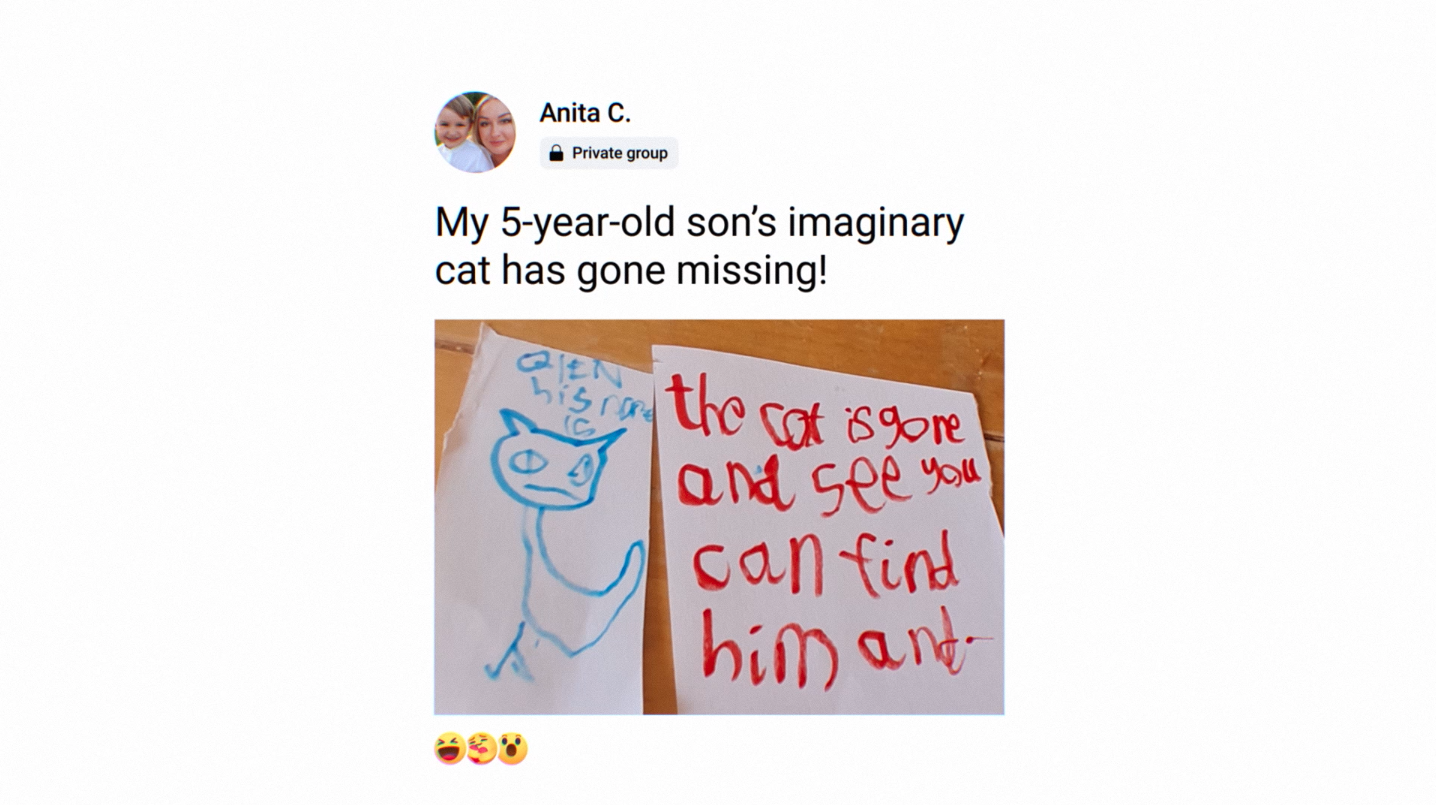 Facebook - Imaginary Cat