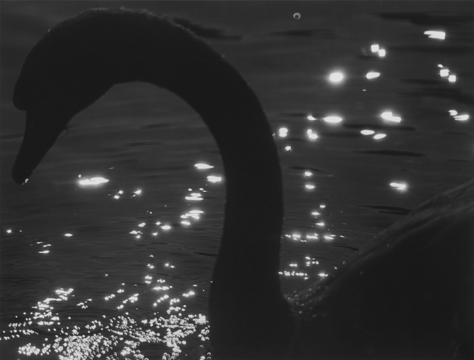 Screenshot 2025-11-22 at 12.03.47 PM.png