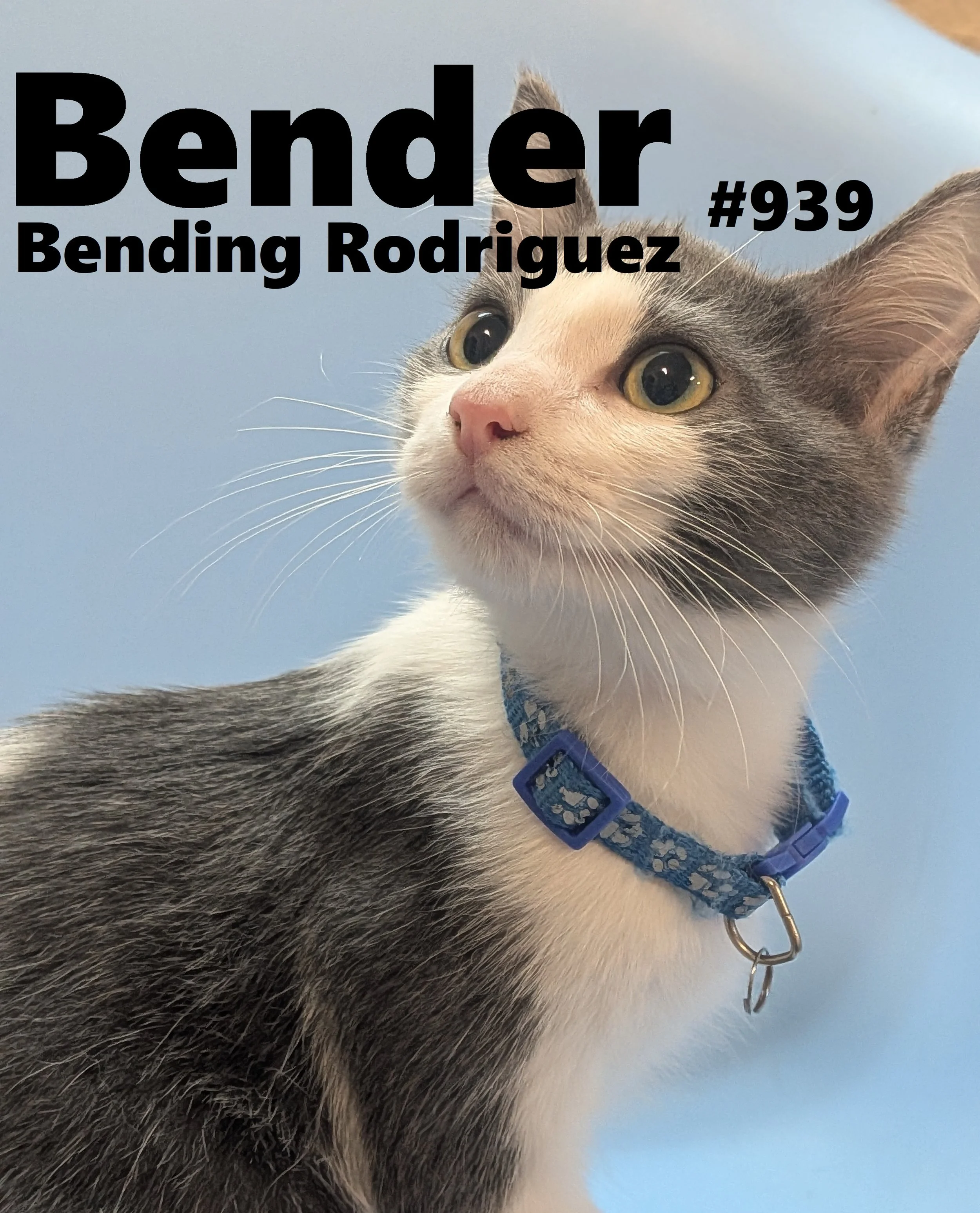 939_Bender.jpg