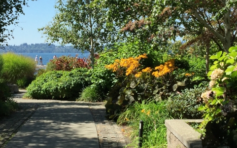 Street-end mini-park on Kirkland's Lake Washington waterfront. Seattle in background.