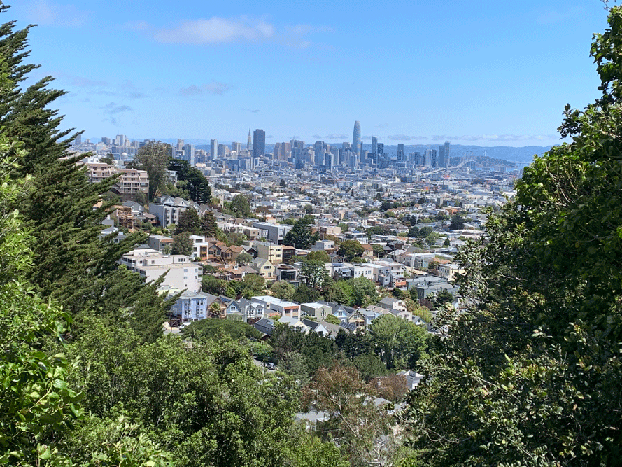 SF-View.jpg