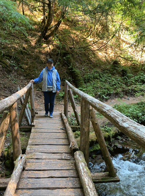 bridge.gif