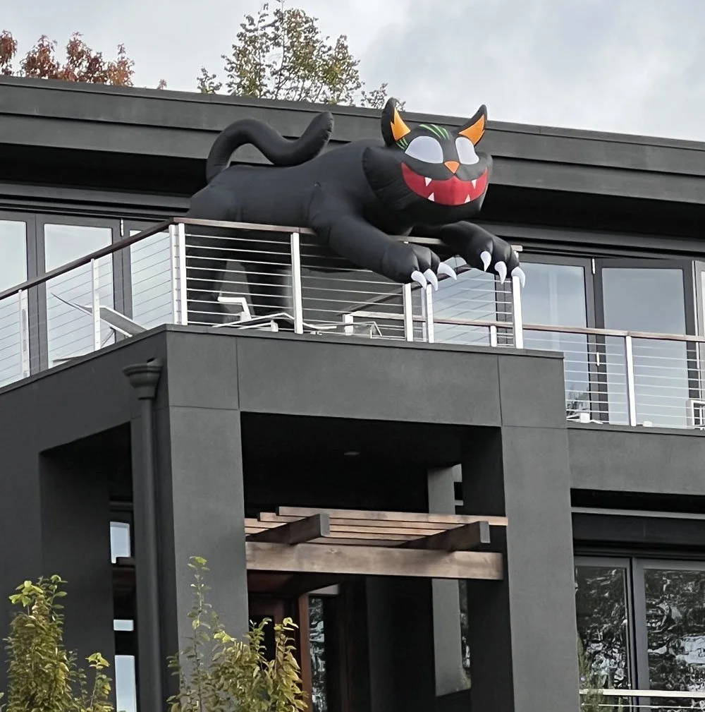 Kirkland-cat.jpg