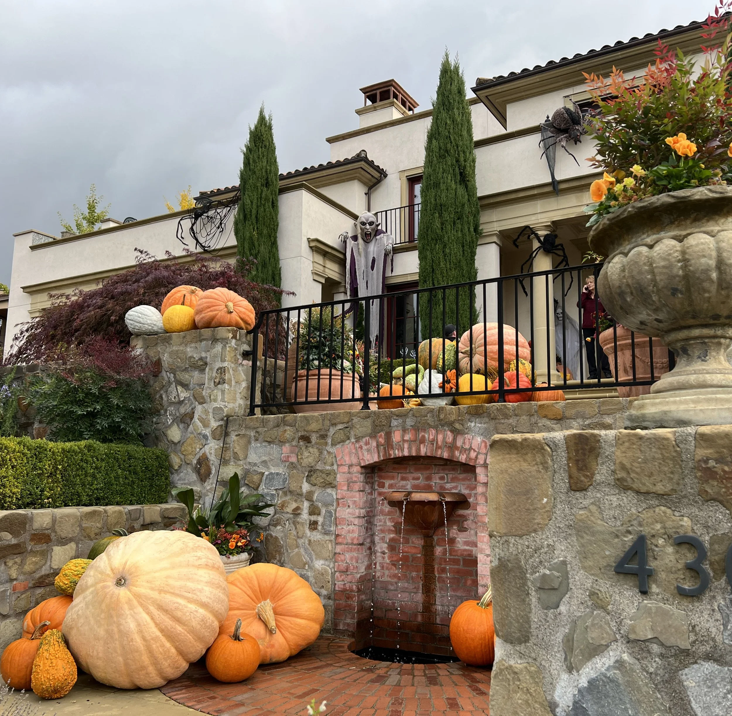Kirkland-pumpkins.jpg