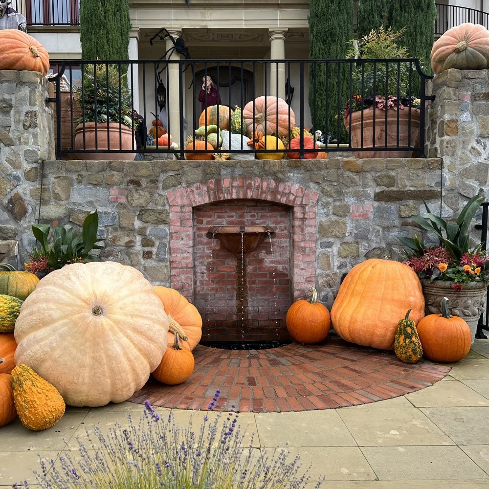 Kirkland-fountain.jpg