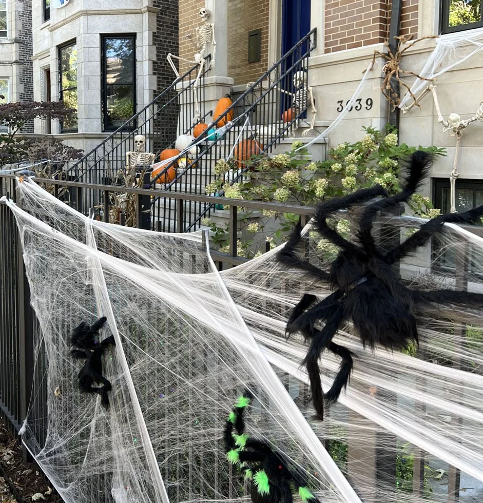 skeleton-spider.jpg