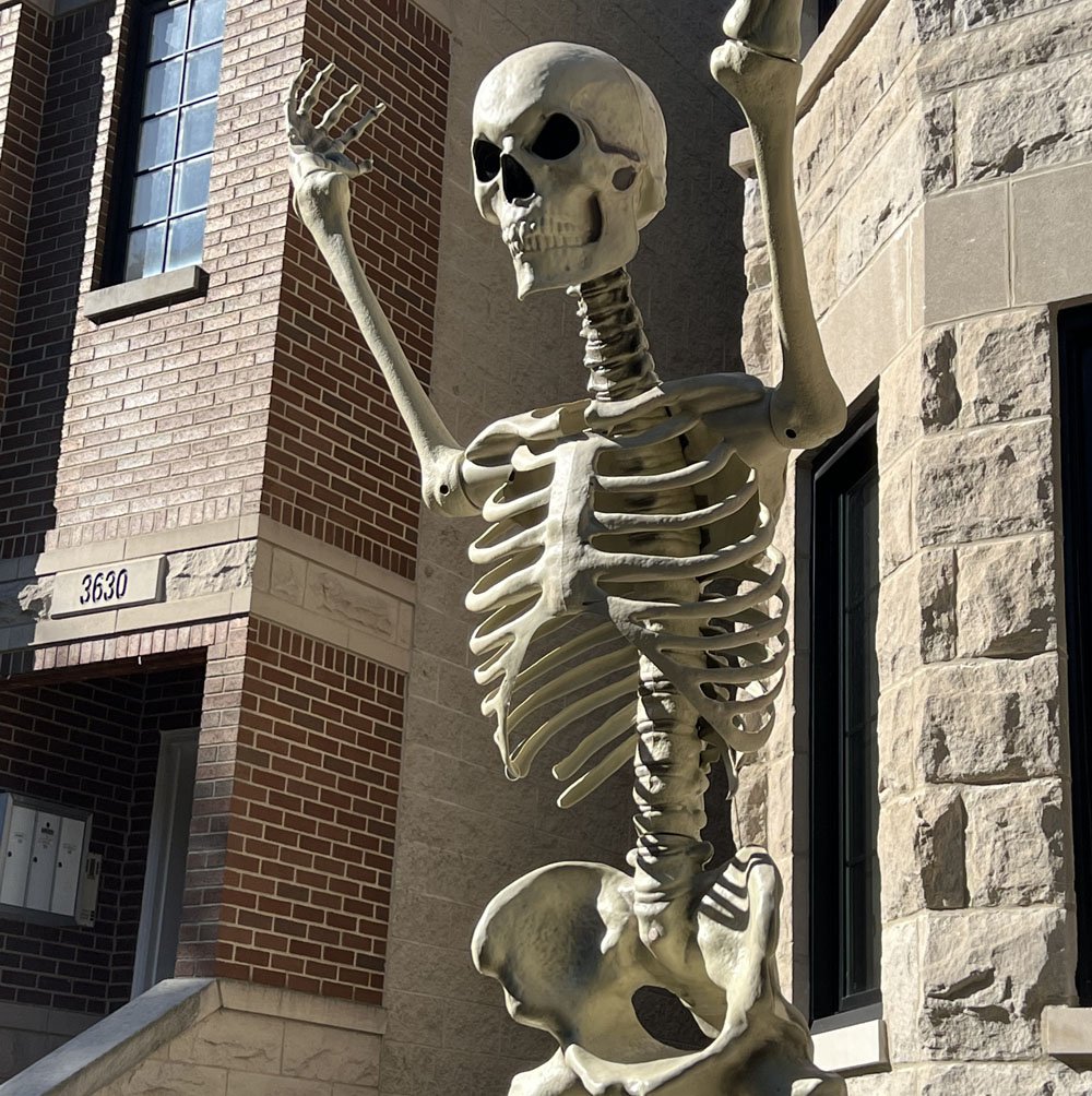 skeleton-head.jpg