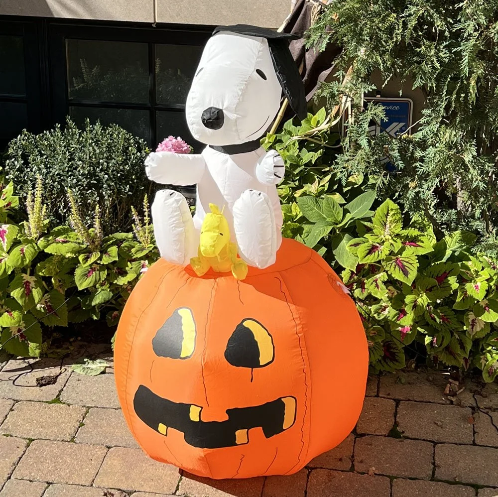 pumpkin-snoopy.jpg