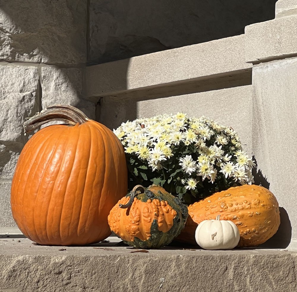 pumpkins+whiteflowers.jpg