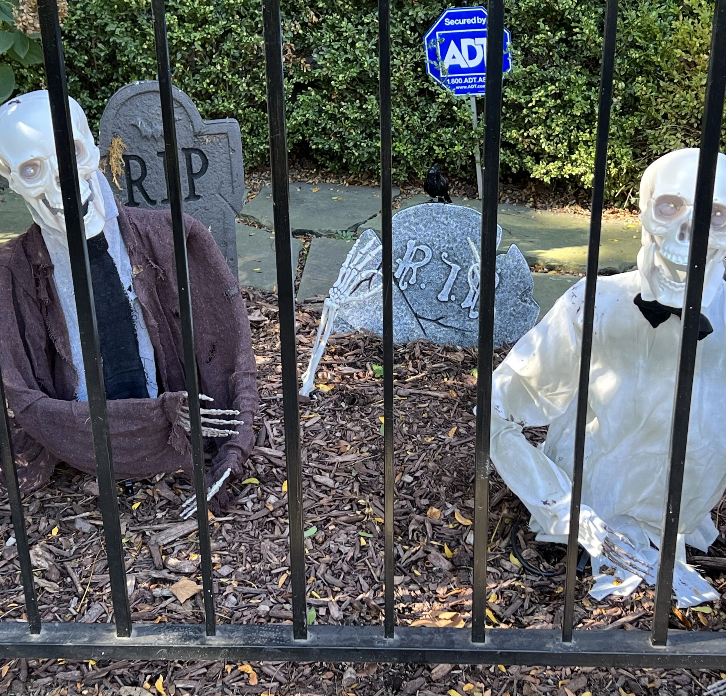 tombstones-fence.jpg