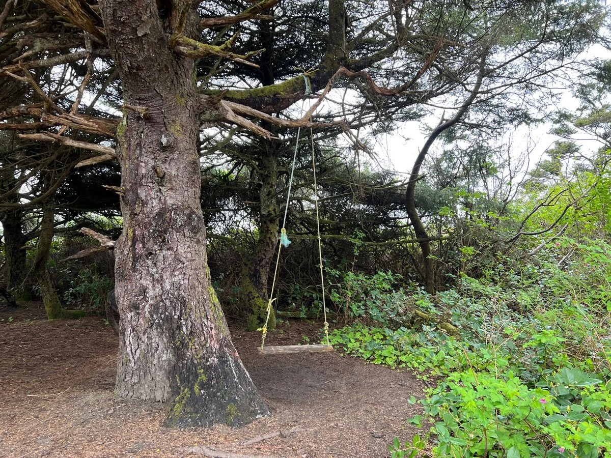 Swing.jpg