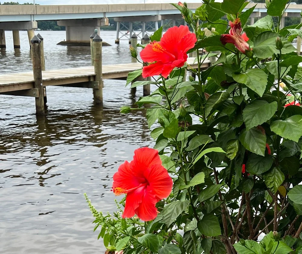 AnnapolisFlowers.jpg