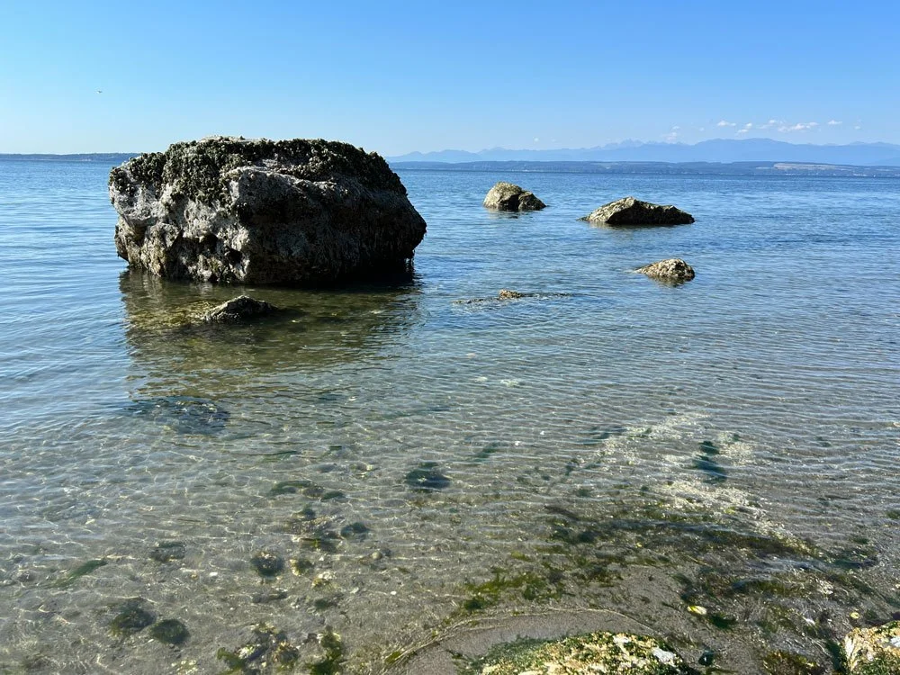MutinyBay-1.jpg