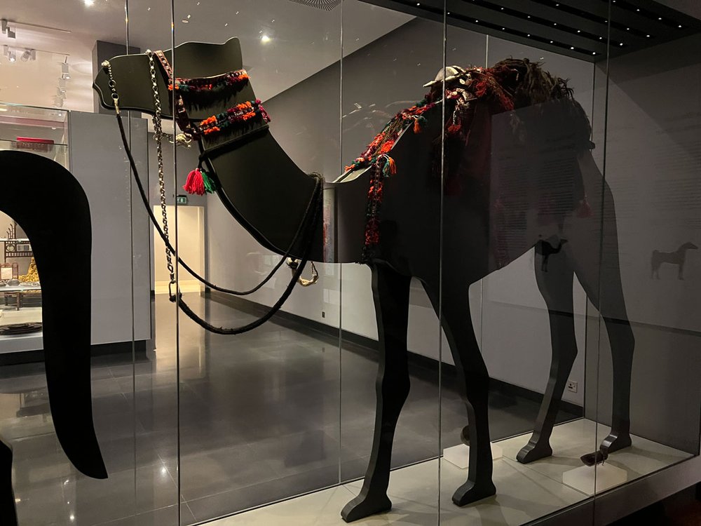 9d-museumcamel.jpg