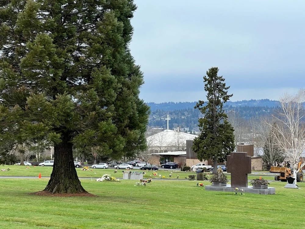 cemeteryview.jpg