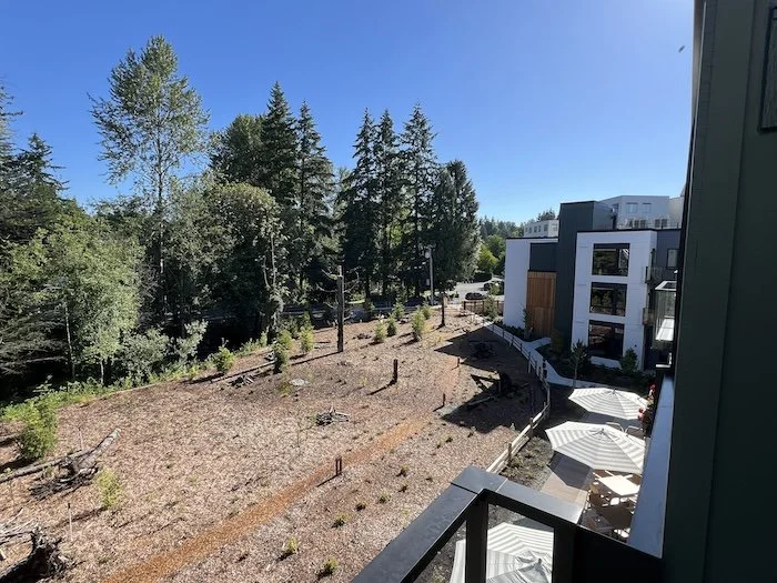 deckview.JPG