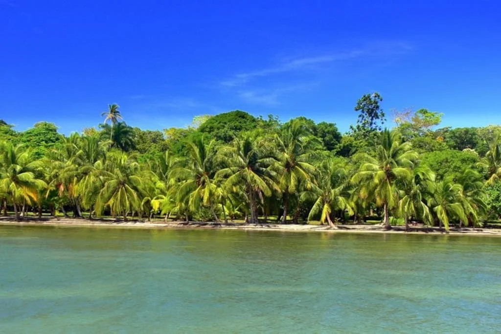 PANAMA10.jpg
