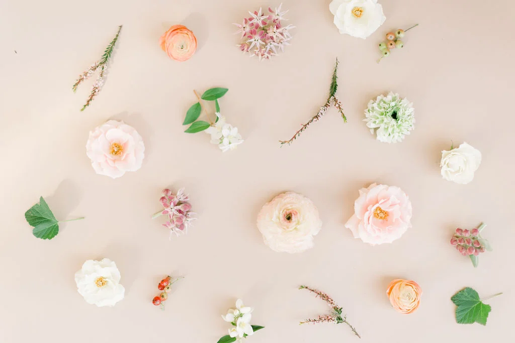 New Blooms Arriving Soon