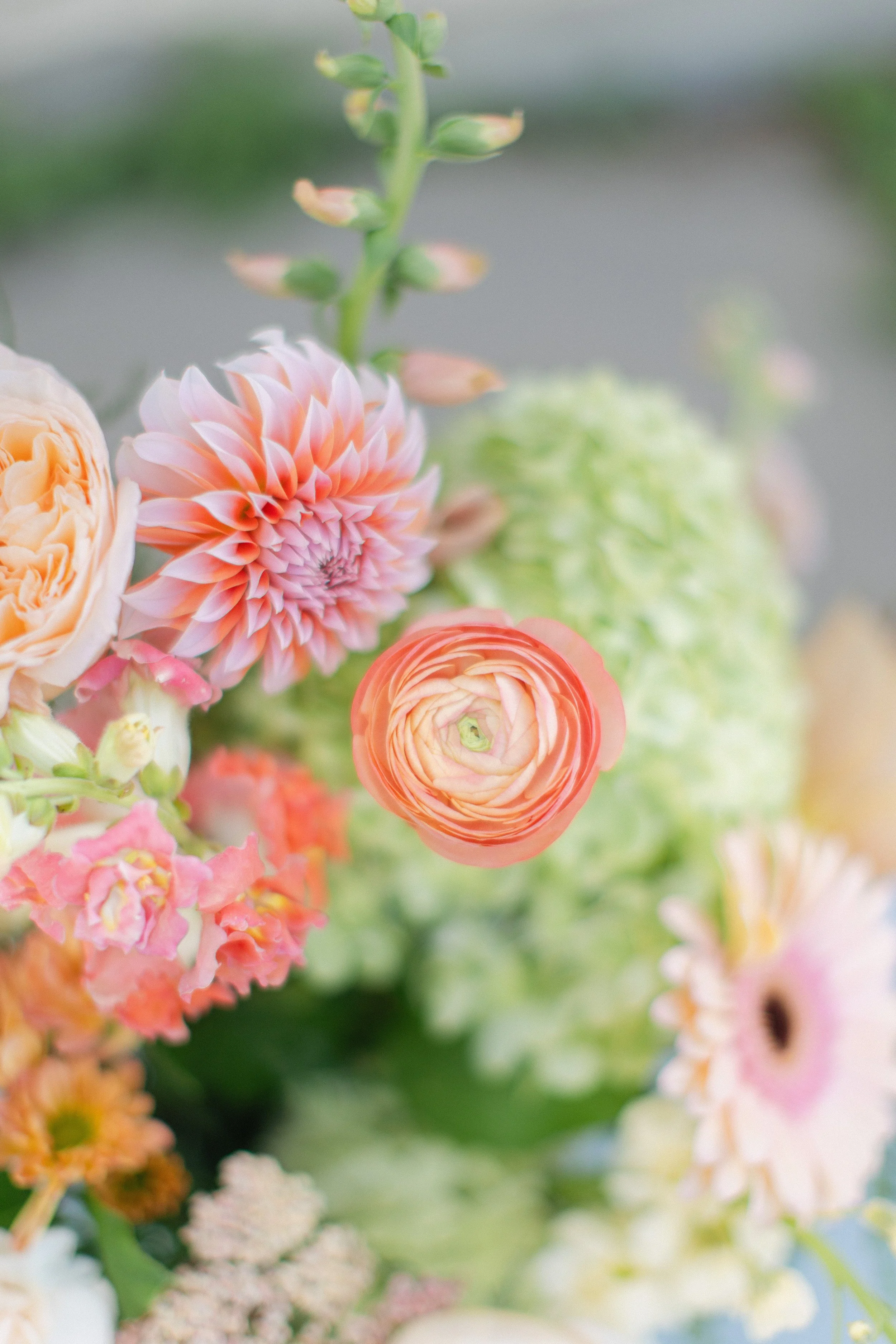  Fall florals designed by Twig &amp; Bloom including dahlias, ranunculus, hydrangeas, and snapdragons.  