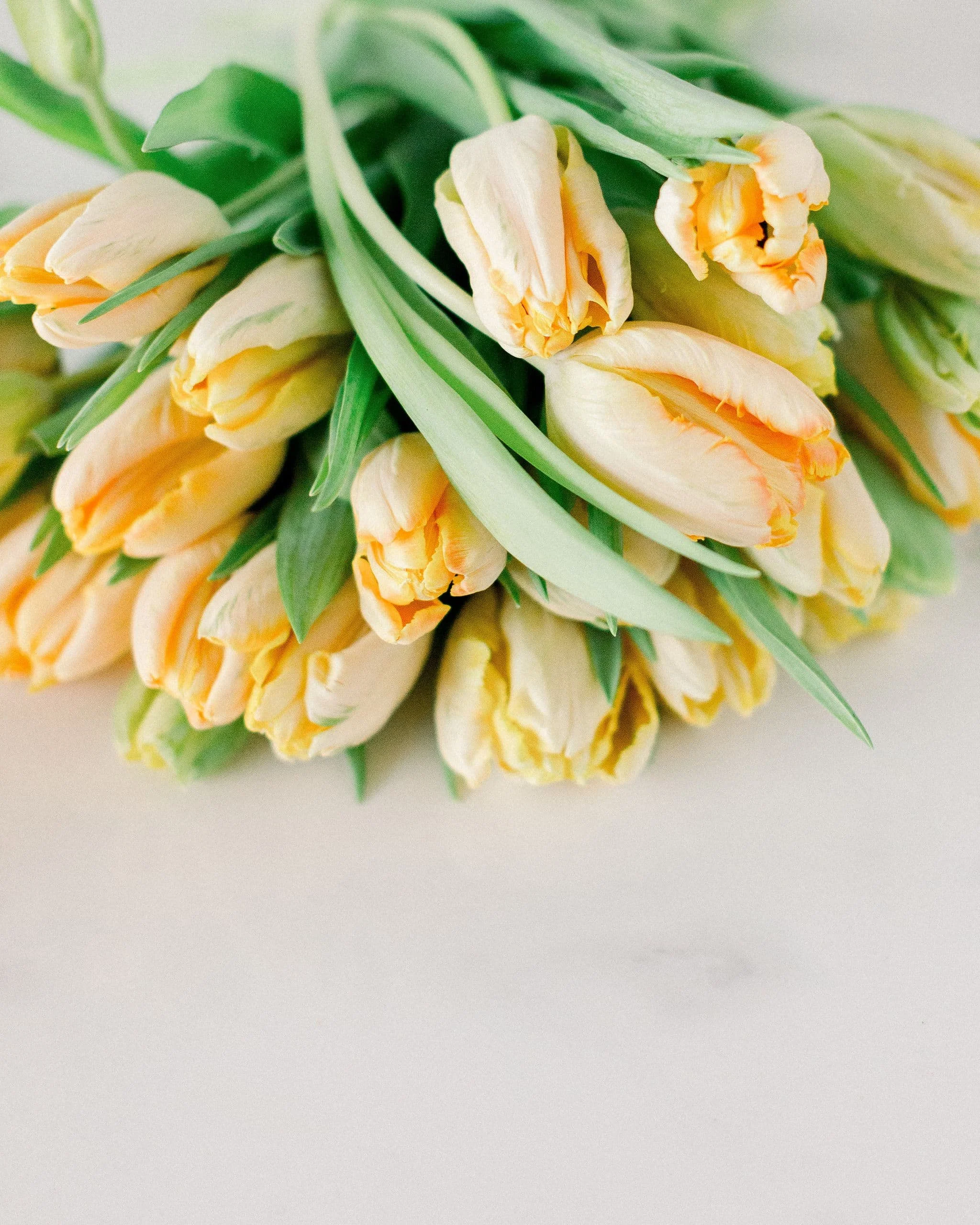 Twig & Bloom floral studio creating romantic, elegant flower arrangements in Saskatoon, Victoria, Regina & Edmonton. We create florals for everyday moments, wedding designs, event flowers, bereavement flowers as well as hosting flower workshops.