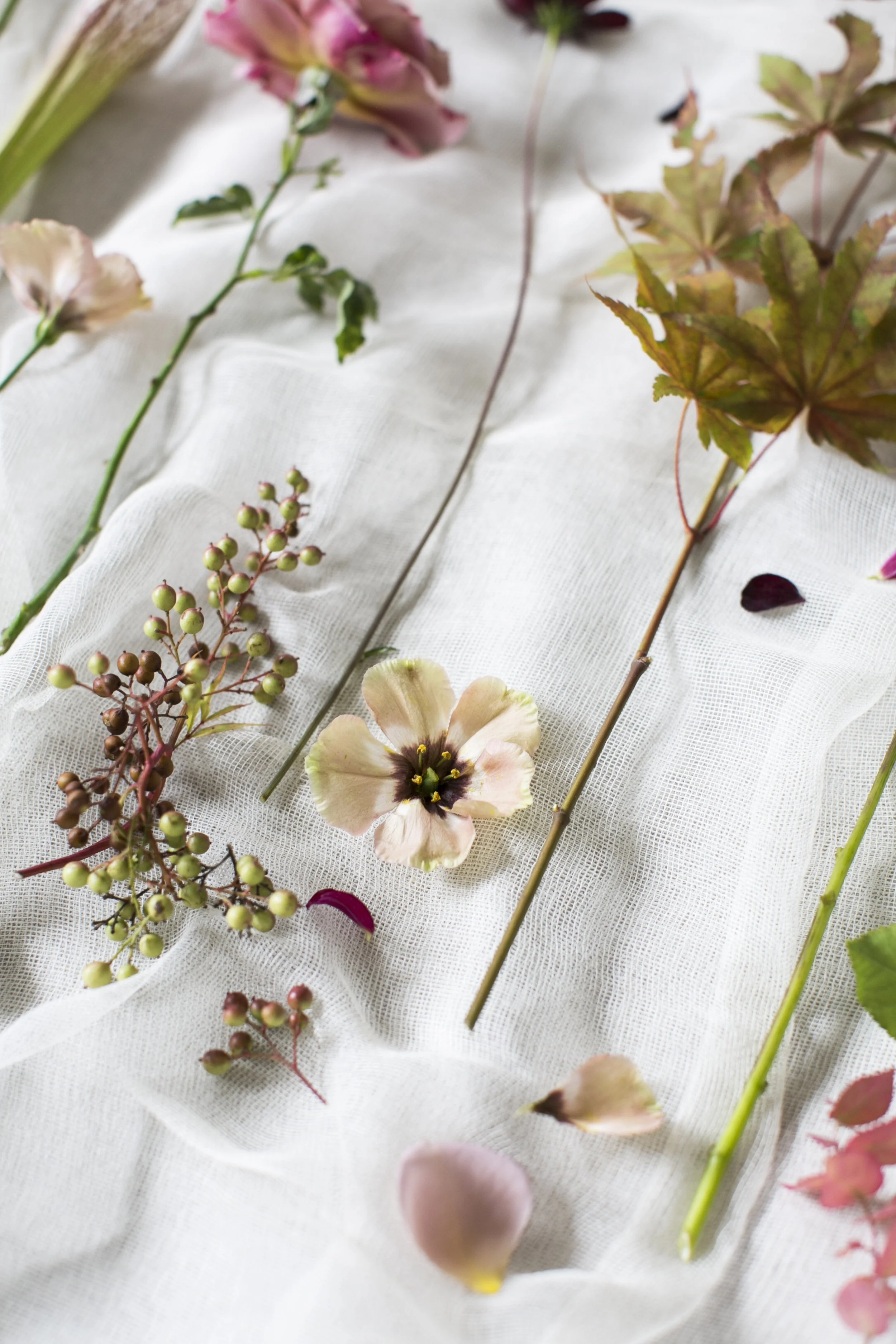 falltwigandbloom14.jpg
