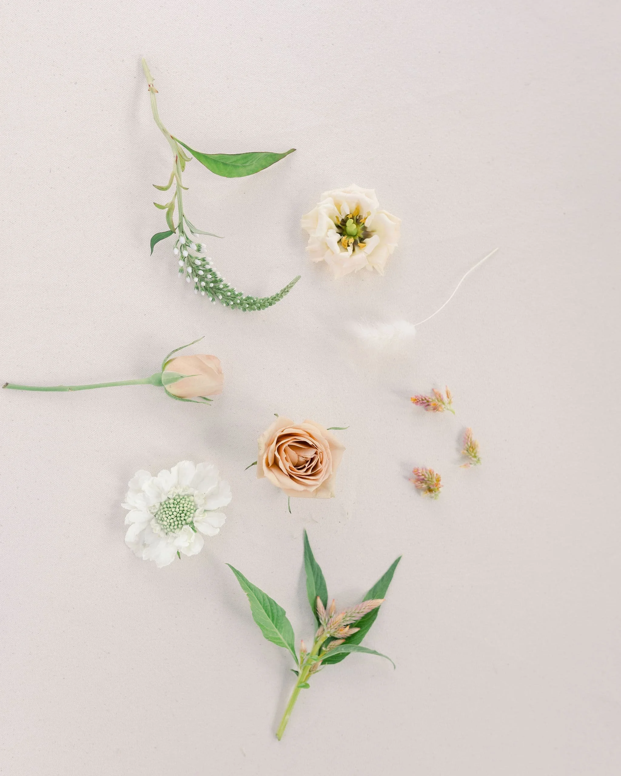 Collection of various flowers and green foliage arranged on a white background.