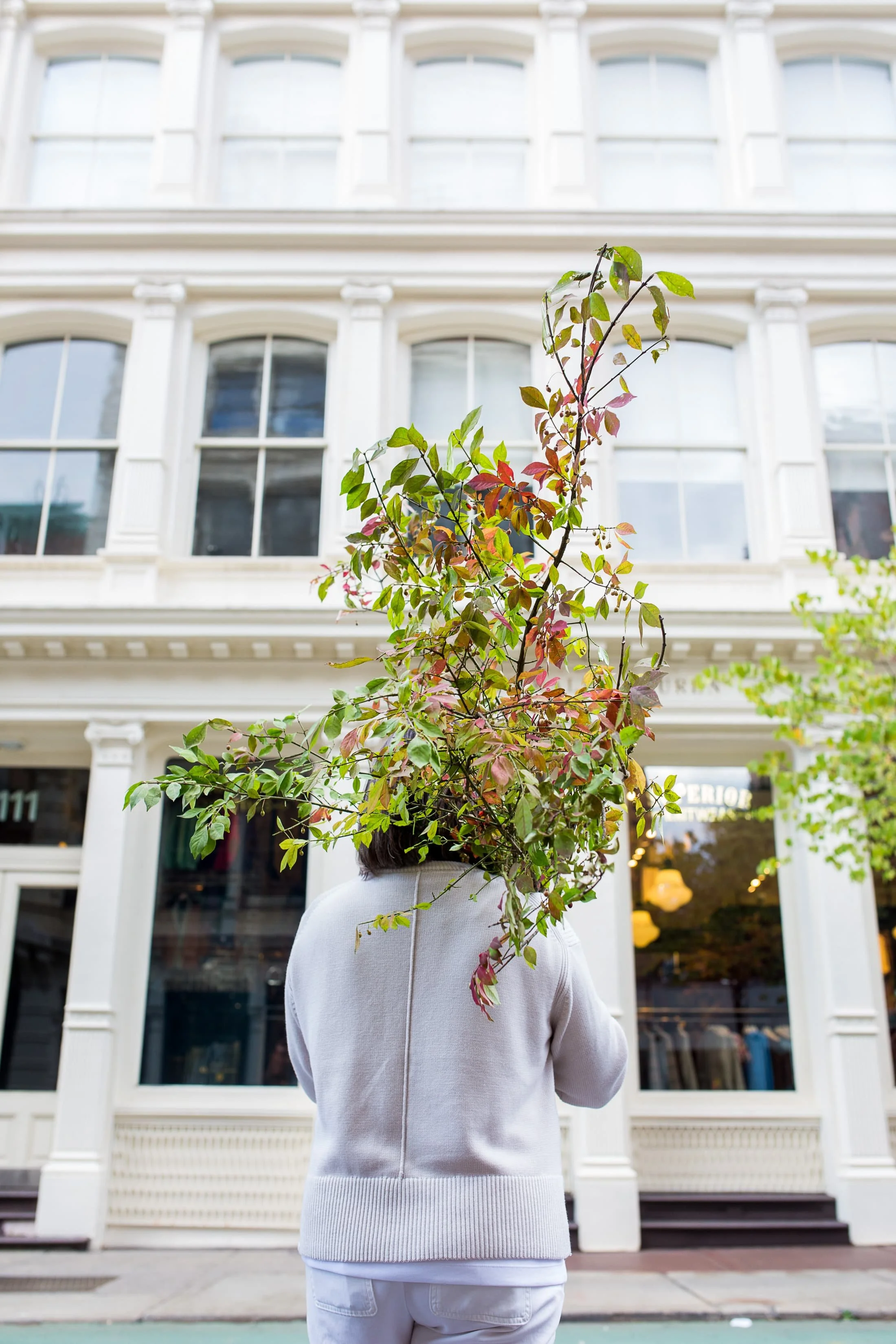 A Twig & Bloom designer carries a large bundle of tall, leafy autumn branches along a New York city street lined with classic white historic architecture. Capturing behind-the-scenes event prep and urban floral styling, this image highlights the natu