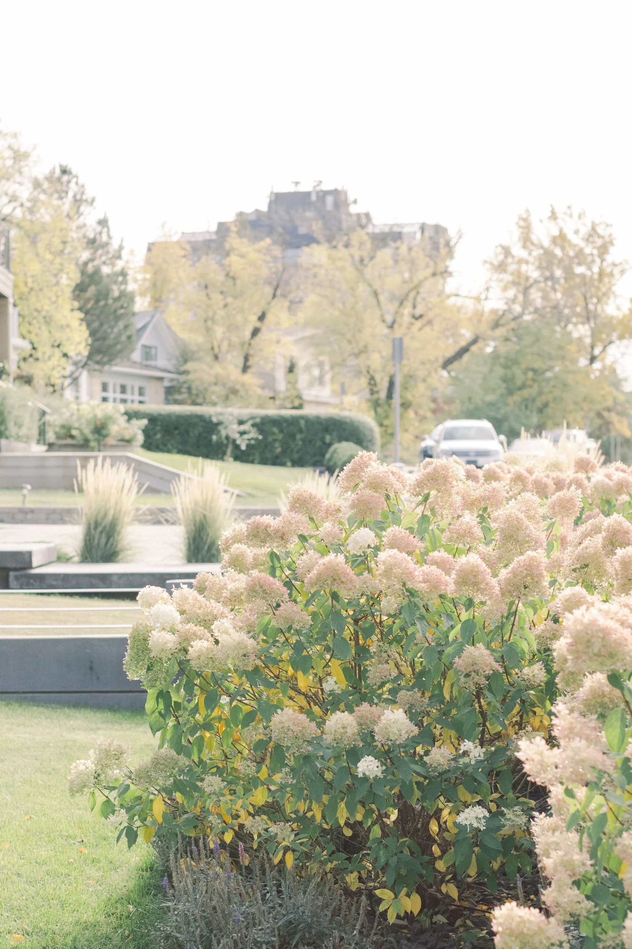 Twig & Bloom offers floral delivery services in Saskatoon.